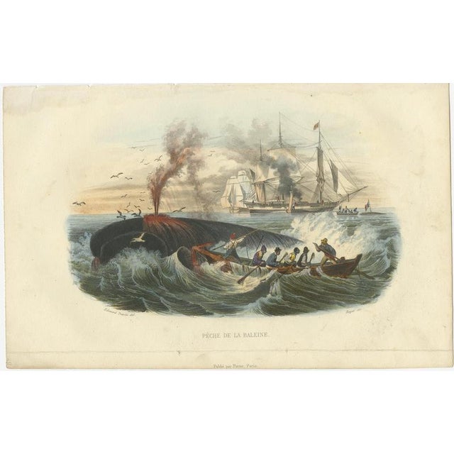 After Édouard Traviès, Whale Hunt, 1840, Hand-Colored Engraving For Sale - Image 3 of 9