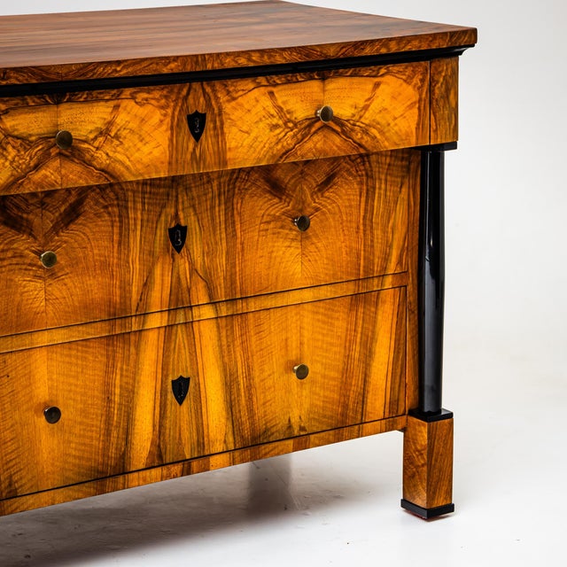 Black Biedermeier Chest of Drawers, Franconia, 1820s For Sale - Image 8 of 11