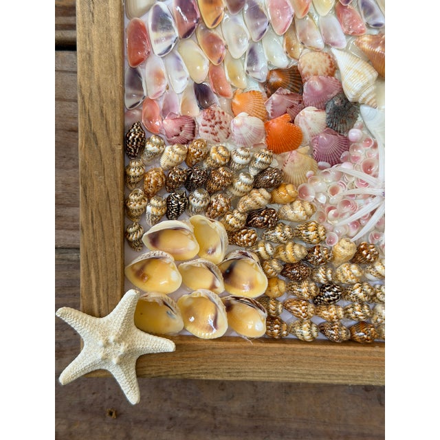 Custom Framed Coastal Seashell Wall Art For Sale In Naples, FL - Image 6 of 10