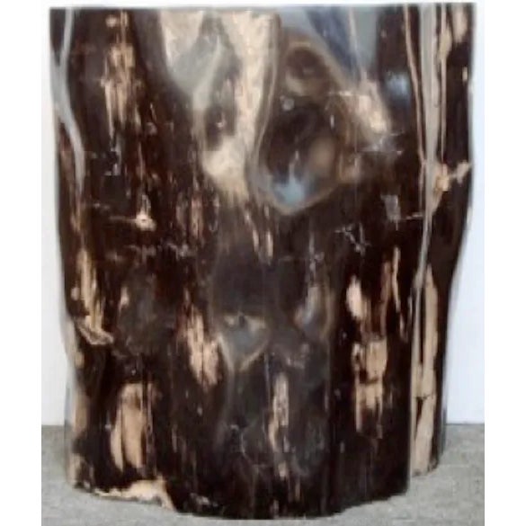 Petrified Rosewood **Amazing Size** 22” x 16” x 22” tall Deep Chocolate with creamy white streaks. Stunning Petrified Wood...