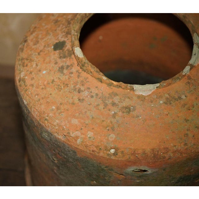 Antique English Terracotta Seakal Rhubarb Forced Planter, 1880 For Sale - Image 3 of 12