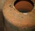 Antique English Terracotta Seakal Rhubarb Forced Planter, 1880 For Sale - Image 3 of 12