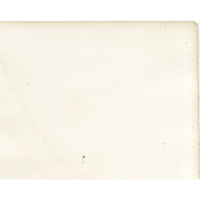 Gold Victor Rose, Lyon Veterinary School from the Saone, 1873, Paper For Sale - Image 8 of 12