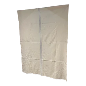 1950s Vintage All Wool Blanket Off White Center Blue Stripe
