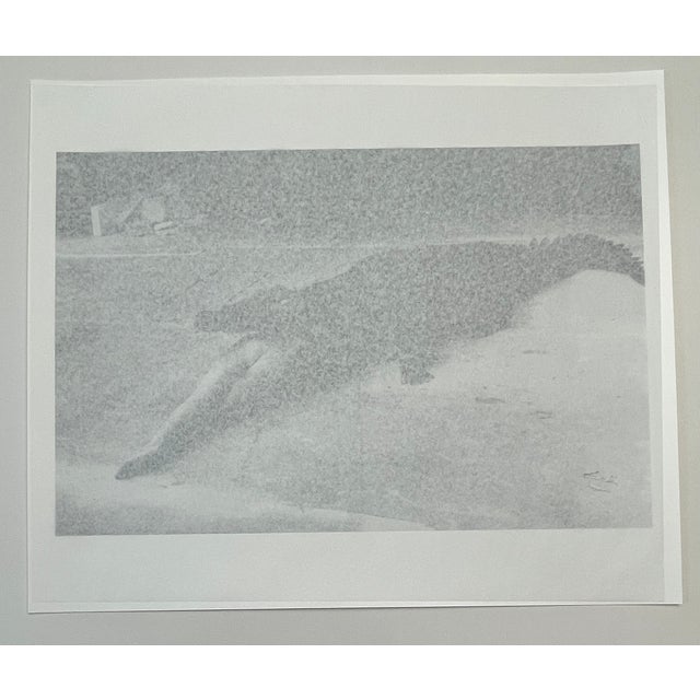 "Crocodile Eating Ballerina from the Bausch Ballet, Wuppertal 1983" by Helmut Newton. 20" x 24" Vintage Silver Gelatin...