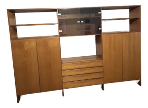 Mid-Century Modern Teak Wall Unit