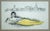 Kees van Dongen ( after ) ( 1877 - 1968 ) La Sirène , 1980/62 Lithography in colors on strong cotton paper. Monogrammed (...