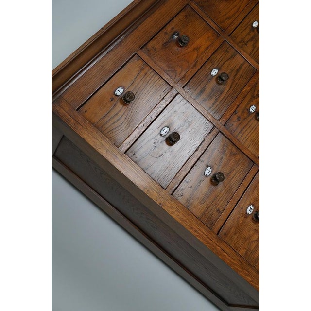 Large Dutch Oak Apothecary Cabinet with Enamel Shields, 1900s For Sale - Image 10 of 18