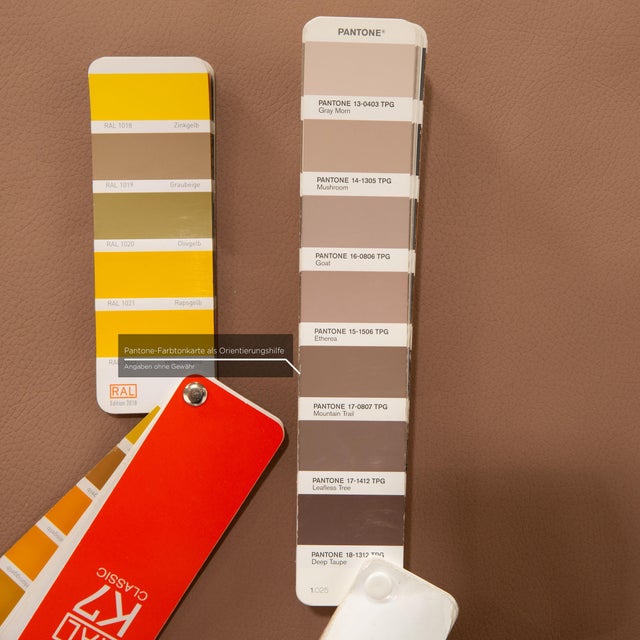 Modern Courage Leather Stool in Beige from Ewald Schillig For Sale - Image 3 of 7