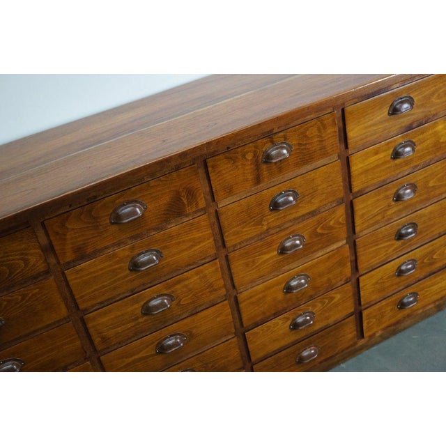 German Beech Apothecary Cabinet, Mid-20th Century For Sale - Image 14 of 16