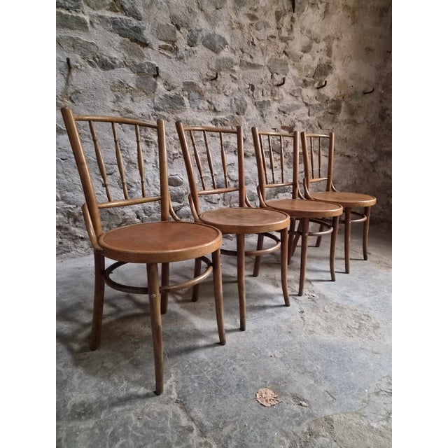 Vintage Bentwood Bistro Chairs from Fischel, Czechoslovakia, 1940s, Set of 4 For Sale - Image 12 of 18