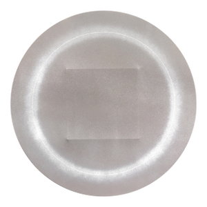 Disk With Quiescent Corona - Abstract Minimalist Sculptural Original Artwork by Len Klikunas