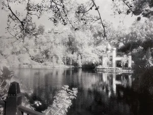 "Zen Moment" Contemporary Abstract Landscape Photograph Print