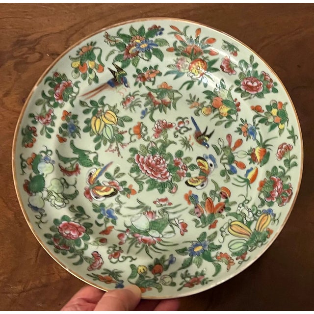 Antique 19th Century Chinese Export Porcelain Famille Rose Plate With Birds and Butterflies on a Celadon Ground For Sale - Image 9 of 9