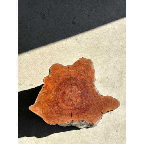 Set of Lychee Stools Forming a Coffee Table For Sale - Image 12 of 18