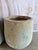 Rustic Pair of Monumental 20th Century Terra Cotta Garden Urns For Sale - Image 3 of 10