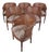Louis XVI Carved Oak & Cane Barrel-Back Armchairs With Leopard Upholstery-Set of 6 For Sale