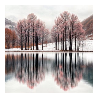 Winter Trees 6, Contemporary Landscape Photogarphy For Sale