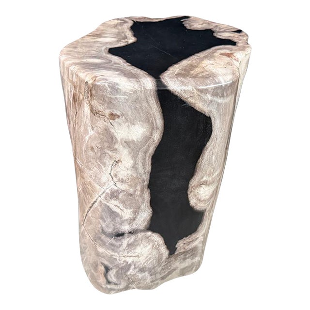 Andrianna Shamaris Abstract High Quality Petrified Wood Side Table For Sale
