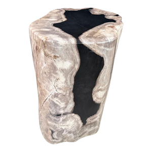 Andrianna Shamaris Abstract High Quality Petrified Wood Side Table