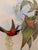 Traditional 1990s Framed Print, Fiery Topaz Hummingbird or Topaza Pyra (Plate 67- Hill House Edition) Reproduction Print After John Gould For Sale - Image 3 of 10