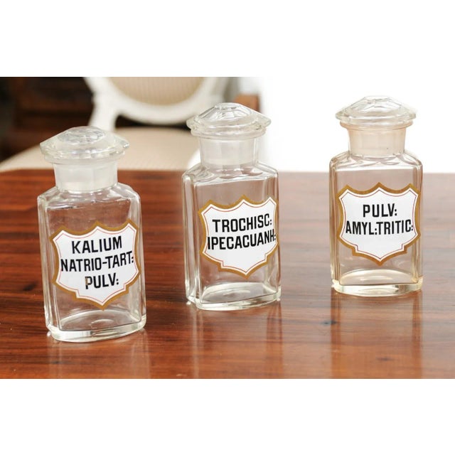 1840s French Louis-Philippe Period Glass Apothecary Jar with Latin Label For Sale In Atlanta - Image 6 of 12