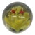 Silvestri Handcrafted Art Glass Paperweight Orange Bugs on a Yellow Flower 4516b For Sale