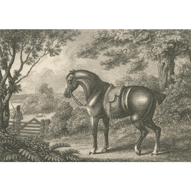 Late 18th Century Samuel Howitt, Shooting Pony, 1799, Engraving For Sale - Image 5 of 10