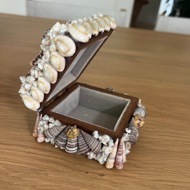 Shell Vintage Mid Century Shell Encrusted Box For Sale - Image 7 of 7