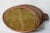 Wine Bottle Cooler, Mahogany & Brass Ram Heads, 1920s For Sale - Image 9 of 11