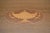 Mahogany Oval Serving Tray With Glass Surface For Sale - Image 4 of 4