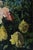 Alfredo Santini, Amalfi Coast, 1990s, Oil Painting on Canvas, Framed For Sale - Image 3 of 7