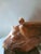 1960s Alabaster Horse Head Sculpture, 1960s For Sale - Image 5 of 9