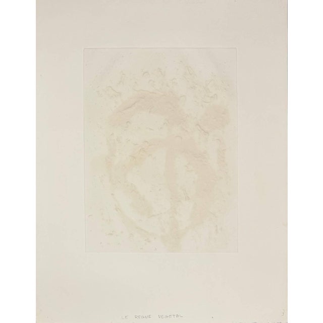 Joan Miró, Règne végétal (Plant Kingdom), 1981, Aquatint For Sale - Image 6 of 7