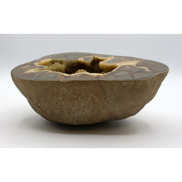 Cretaceous Period Calcite Septarian Nodule on Custom Stand For Sale - Image 4 of 7