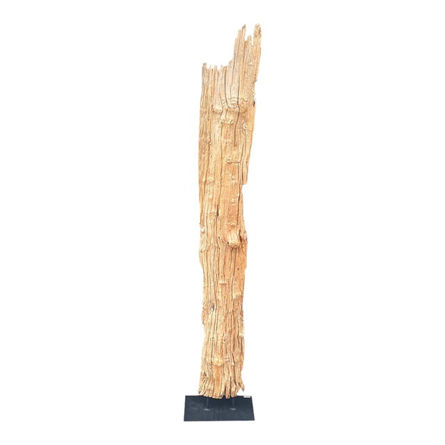 Antique Driftwood On Metal Stand For Sale
