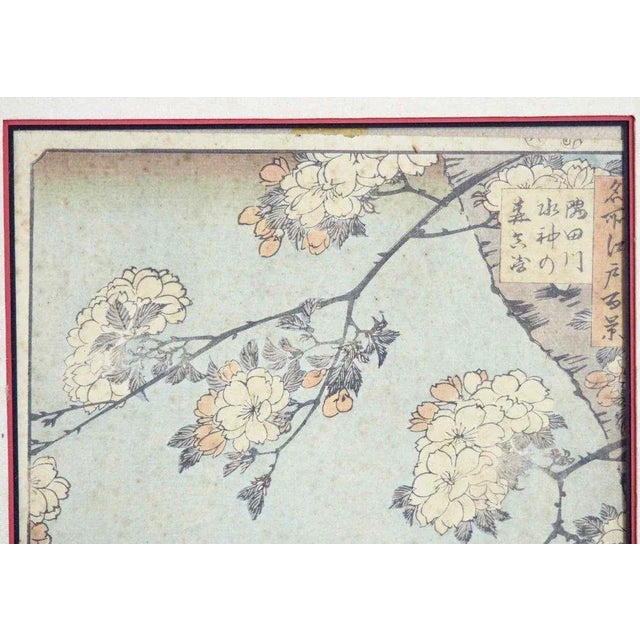 H. 33 w. 22 cm. H. 12.9 w. 8.6 in.