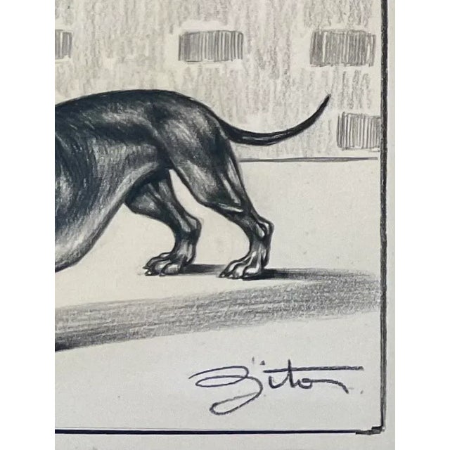 1950’s Original Dog Drawing by Vincenzo Zito, Black Frame Chairish