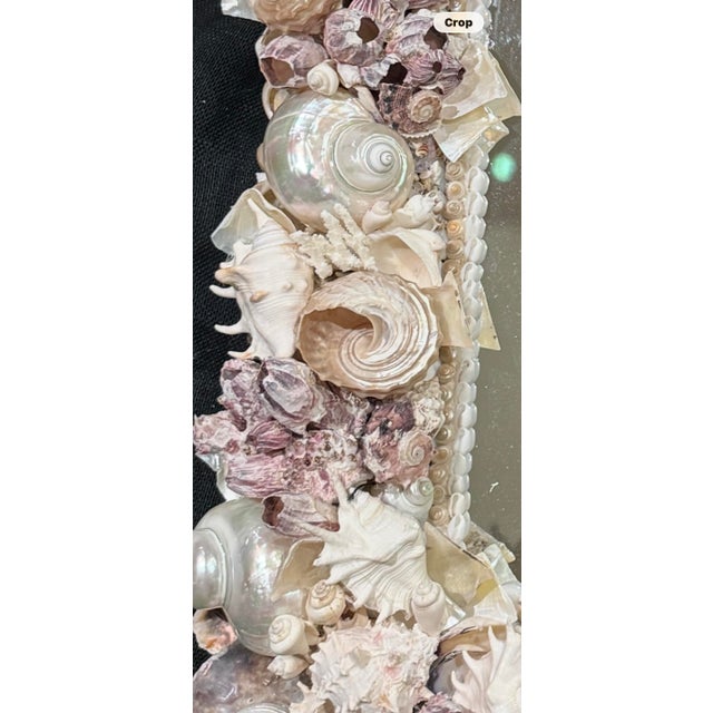 Sheema Muneer Annalise Shell Decorated Mirror For Sale - Image 4 of 9