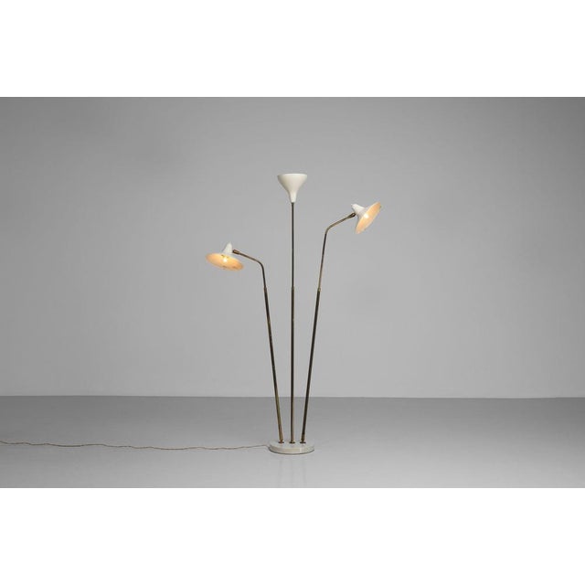 Model 339 Floor Lamp by Giuseppe Ostuni for Oluce, Italy, 1955 For Sale - Image 10 of 18