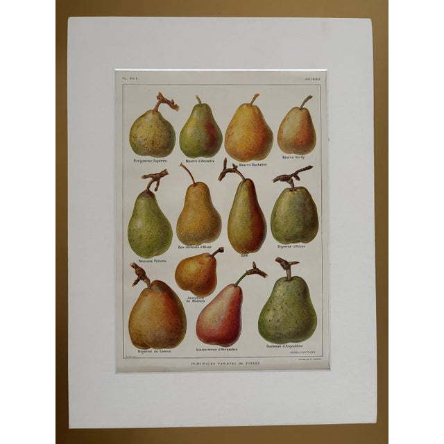 Chart with Fruit by Maurice Dessertenne For Sale - Image 4 of 5