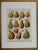 Chart with Fruit by Maurice Dessertenne For Sale - Image 4 of 5