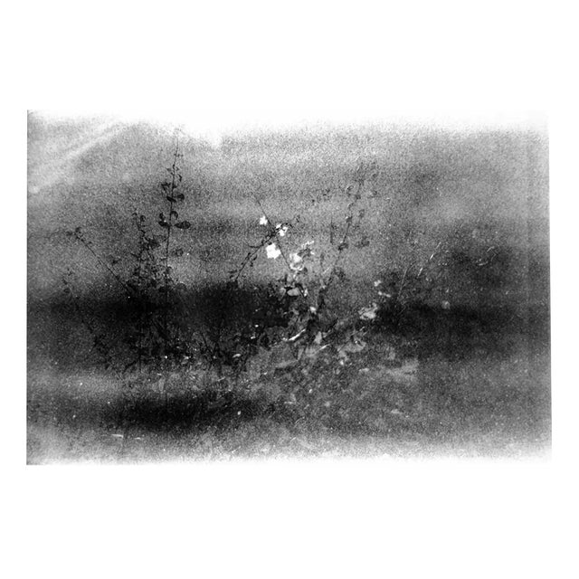 Serena Zeppilli, Expired_08_2020, Original Photograph, 2020 For Sale