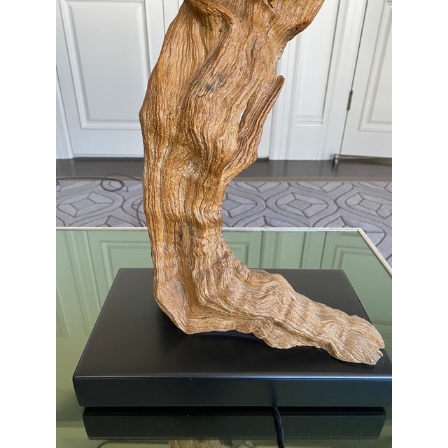 Wood Vintage 1960s Driftwood Lamps (Pair) For Sale - Image 7 of 12