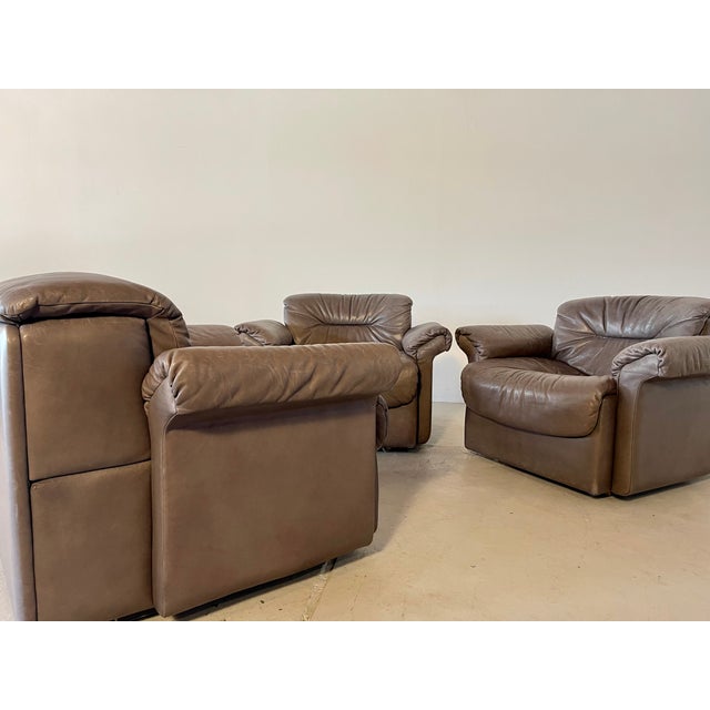 DS14 Armchair from de Sede For Sale - Image 9 of 9