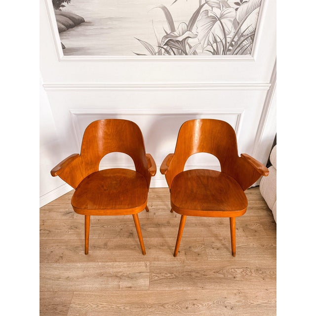 Thonet Bentwood Model 1515 Armchairs attributed to Oswald Haerdtl for Thonet / Ton, Former Czechoslovakia, 1960s, Set of 2 For Sale - Image 4 of 18