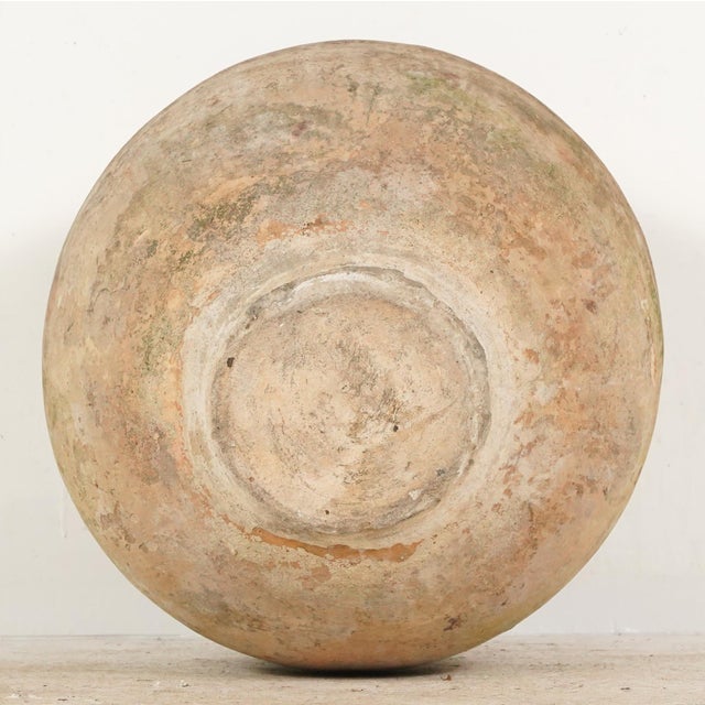 Terra Cotta 19th Century French Terra Cotta Biot Olive Jar 20 X 26.875 In. For Sale - Image 8 of 8