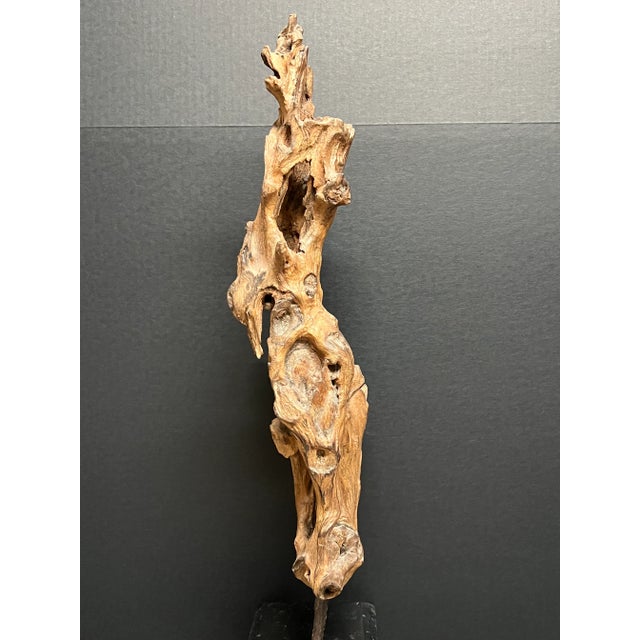 Wood Vintage Natural Abstract Driftwood Art Sculpture on Wooden Base For Sale - Image 7 of 12