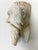 Vintage Plaster Reproductions of 4 Heads From the Wawel Collection, Poland - Set of 4 For Sale - Image 14 of 17