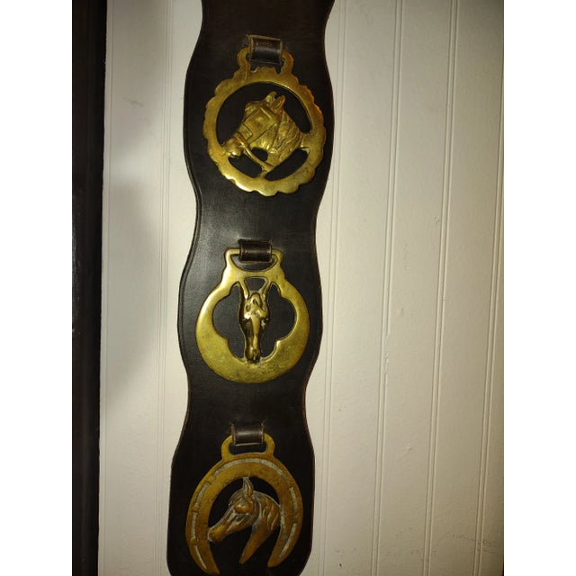 English Leather and Horse Brasses Martingale 1950s For Sale - Image 4 of 5